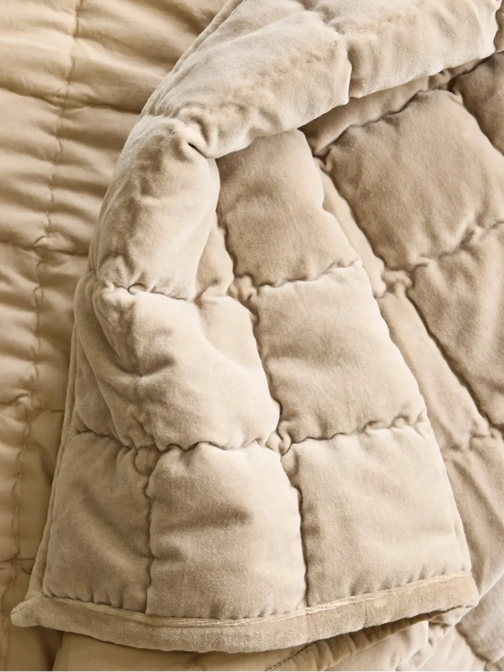 N/A quince cotton